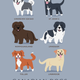 Illustration for article titled Adorable Drawings of Dog Breeds, Grouped By Their Place of Origin